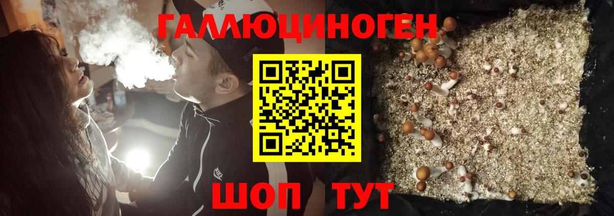 Псилоцибиновые грибы Psilocybe  Вход с VPN  Ессентуки  Псилоцибиновые грибы Psilocybine cubensis 