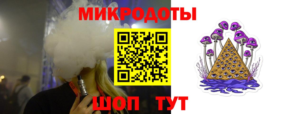 Псилоцибиновые грибы Psilocybe Ессентуки